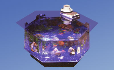 Hexagon aquarium coffee table